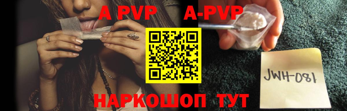Альфа ПВП СК КРИС Кольчугино