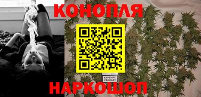 Альфа ПВП Бийск