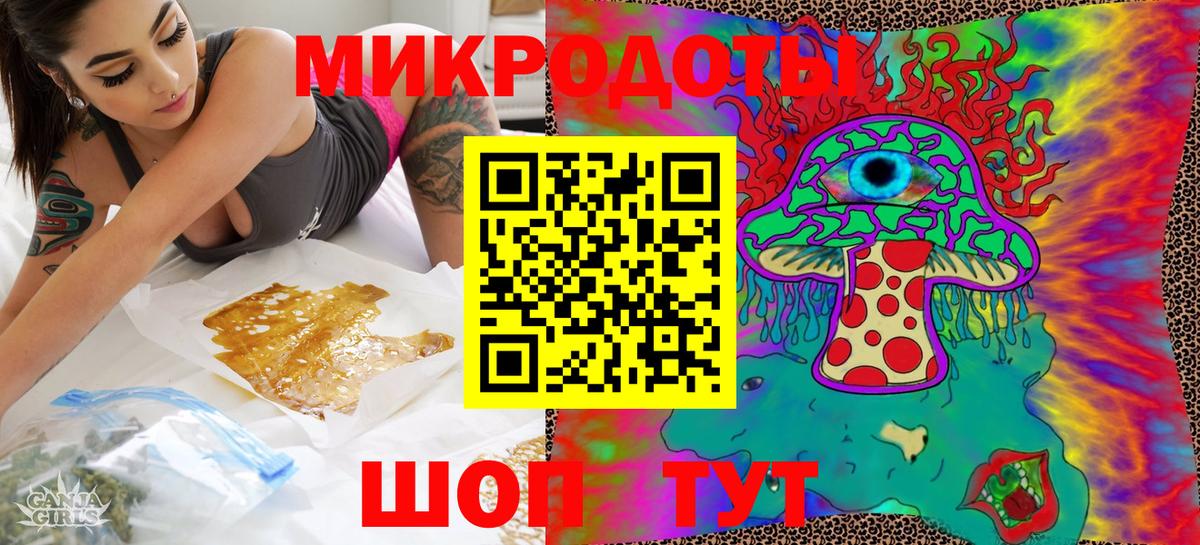 Галлюциногенные грибы Psilocybine cubensis Кольчугино