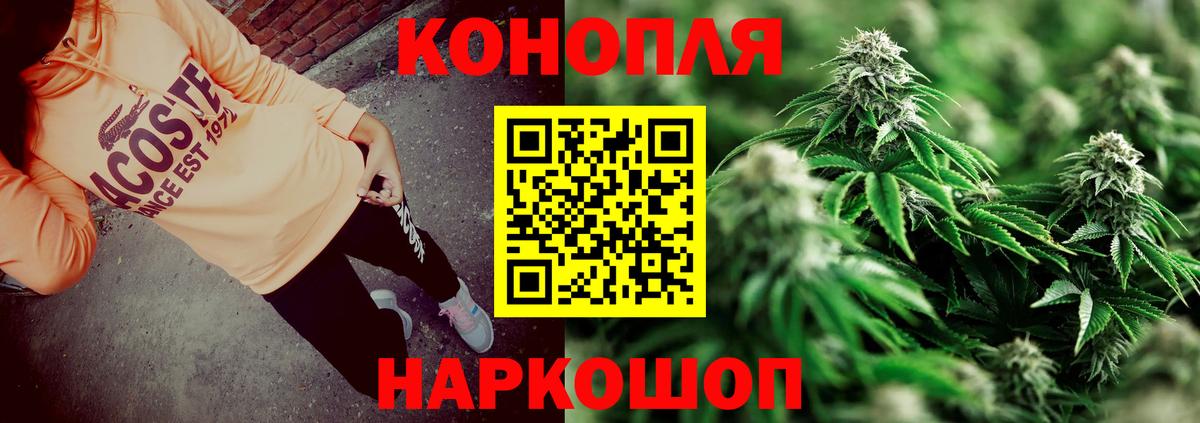 Кольчугино  Канабис сатива  Бошки марихуана OG Kush  Вход с VPN  Шишки марихуана сатива  Бошки марихуана MAZAR 